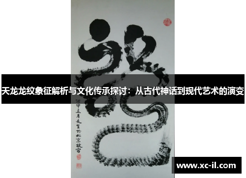 天龙龙纹象征解析与文化传承探讨：从古代神话到现代艺术的演变