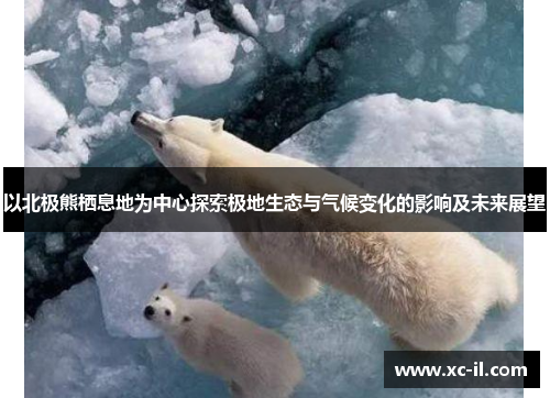 以北极熊栖息地为中心探索极地生态与气候变化的影响及未来展望 以北极熊栖息地为中心探索极地生态与气候变化的影响及未来展望